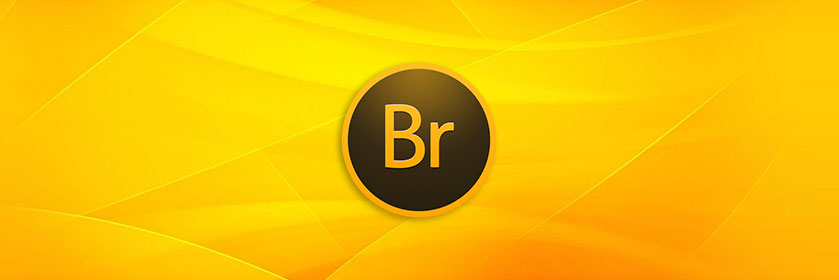 Output in Adobe Bridge CC 2015 6.3